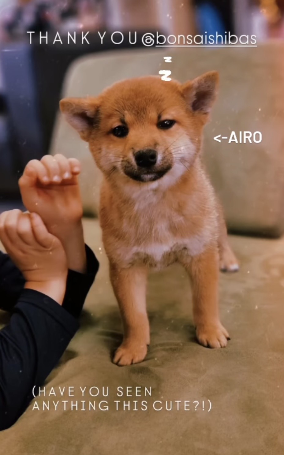 Airo